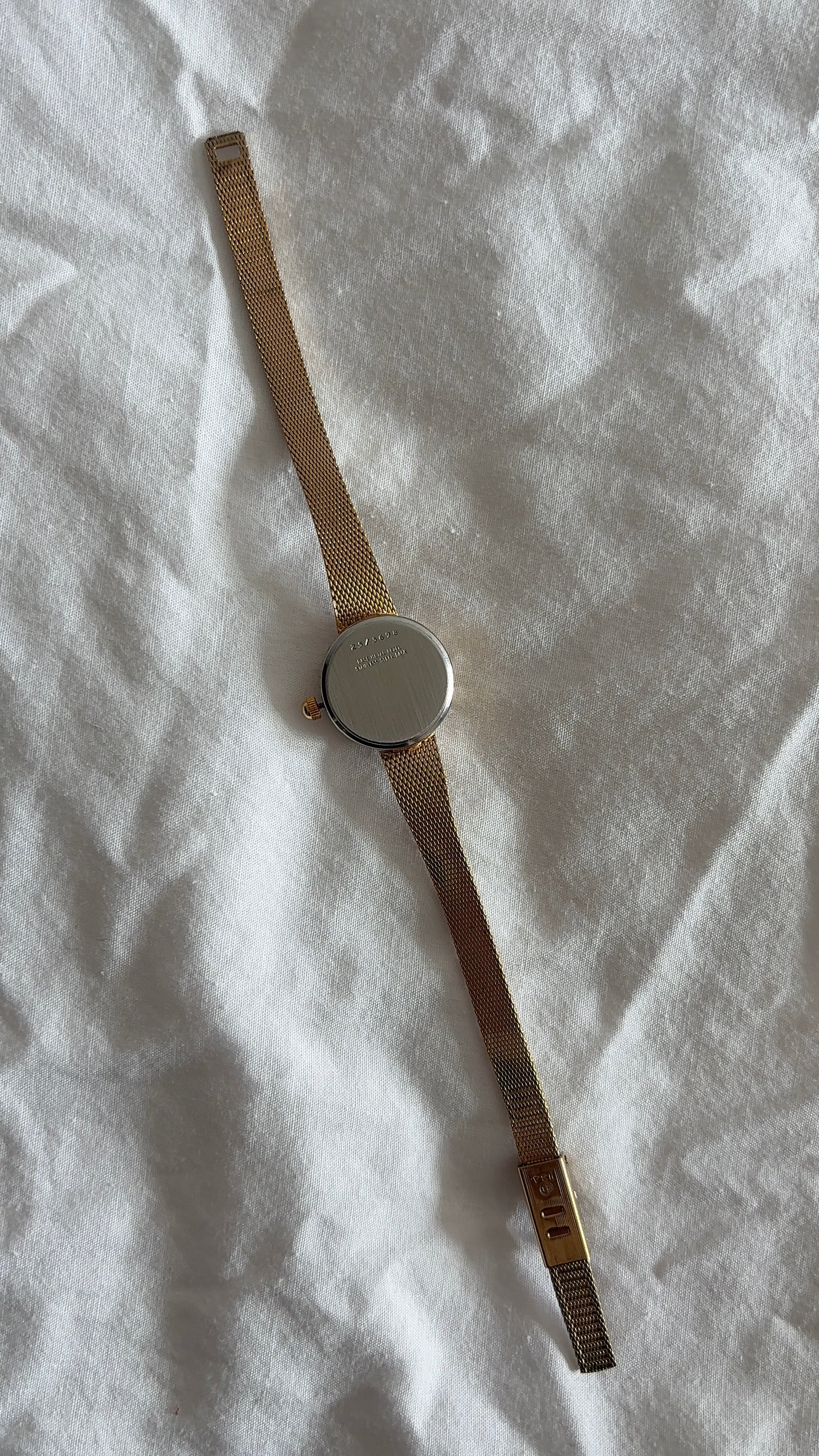 WORKING Deauville Gemstone Dial Mesh Band Watch